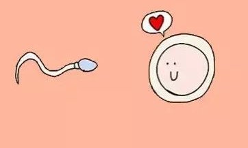 哪家安徽试管婴儿医院好