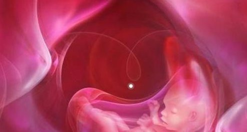 2026年潮州有哪些试管婴儿医院？潮州试管婴儿医院排名