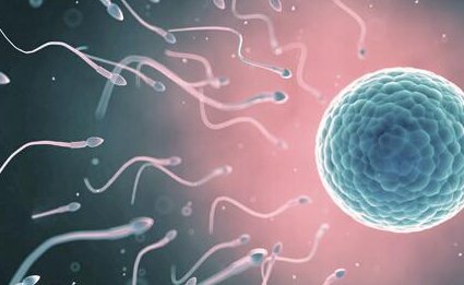 在连云港做第三代试管婴儿哪家医院比较便宜？影响三代试管费用的因素有哪些？