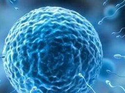 2026年北京公立医院试管哪个好？