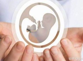 试管移植第三天的鲜胚后憋尿了一次胚胎会流出来吗？