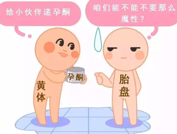 女性有染色体罗氏易位在大连市做试管养囊成功率高吗？试管移植后需要保胎吗！